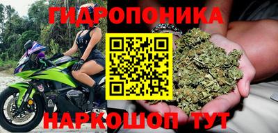 гашик Мариинск