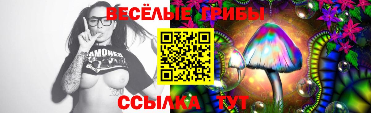 Псилоцибиновые грибы Psilocybe  Вход с VPN  Химки 